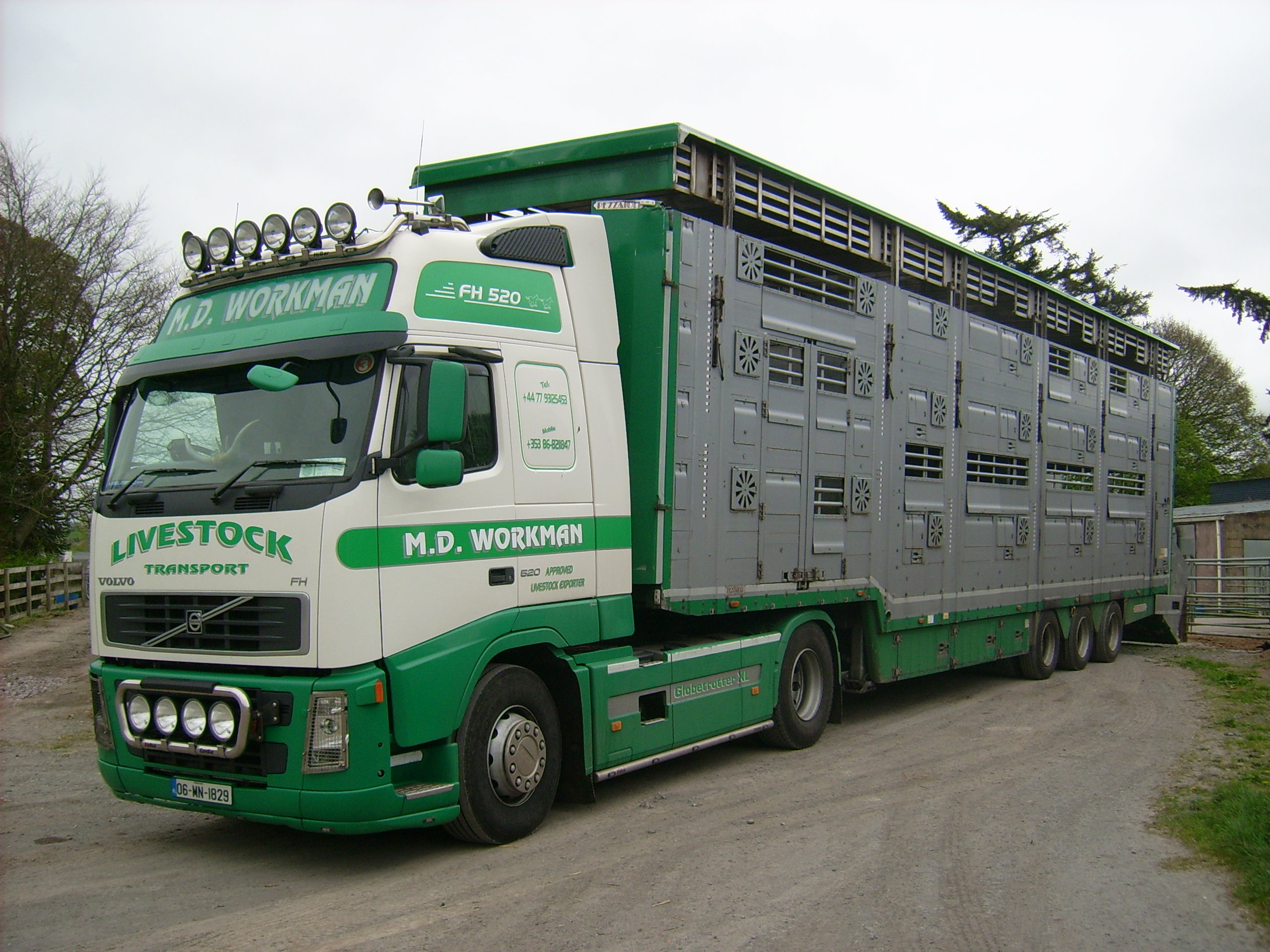 A photograph of Workmans Livestock Transport Lorry in the snow